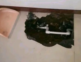 金沙卫生间测漏水多少钱